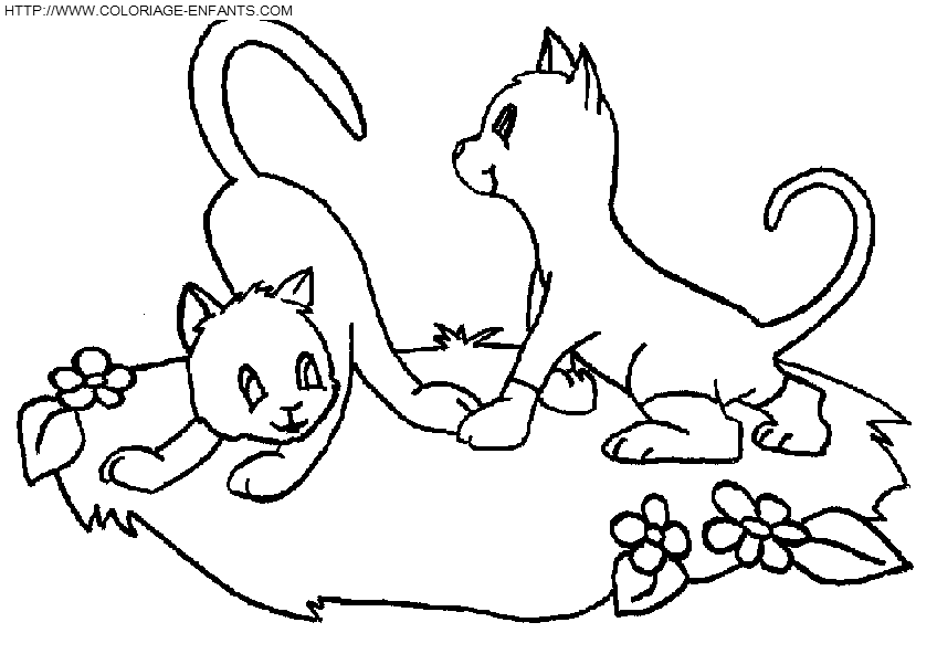 Cats coloring