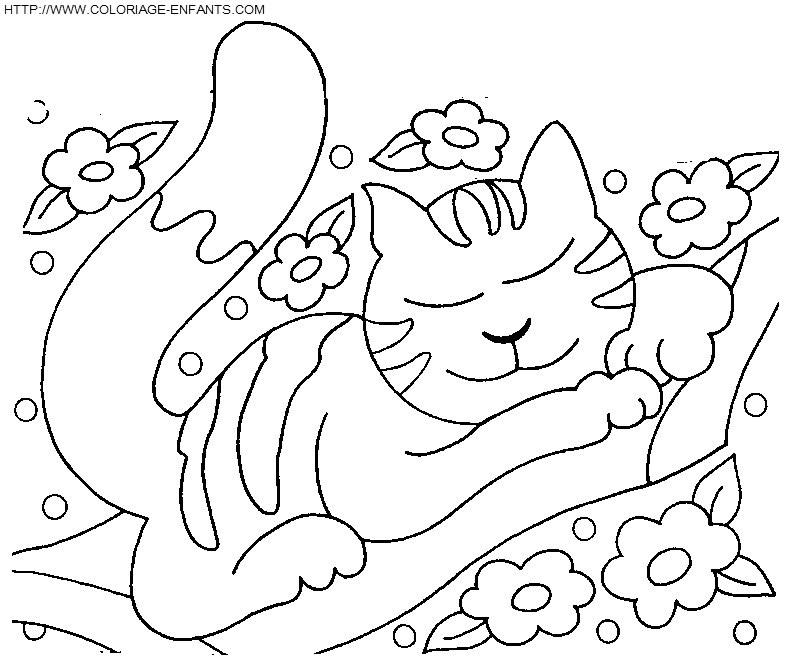 Cats coloring