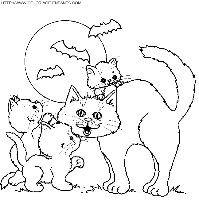 Cats coloring