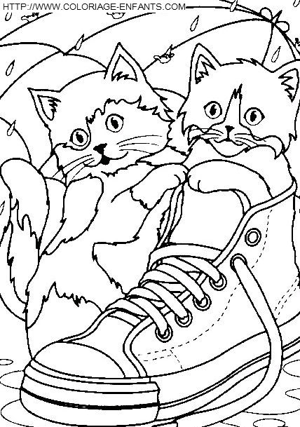 Cats coloring