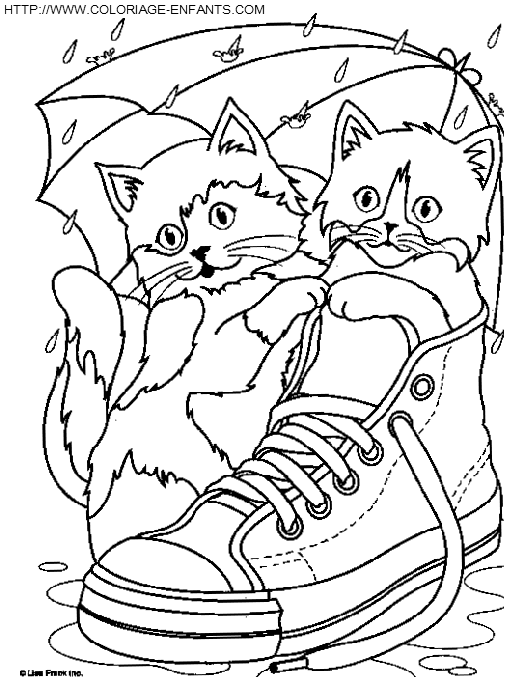 Cats coloring