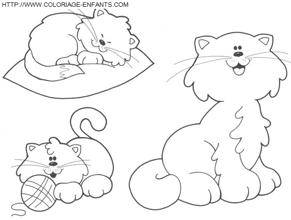 Cats coloring