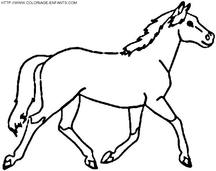 Horse coloring