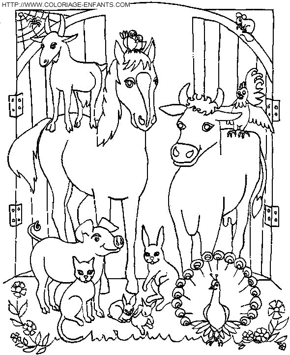 Horse coloring