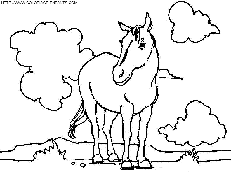 Horse coloring