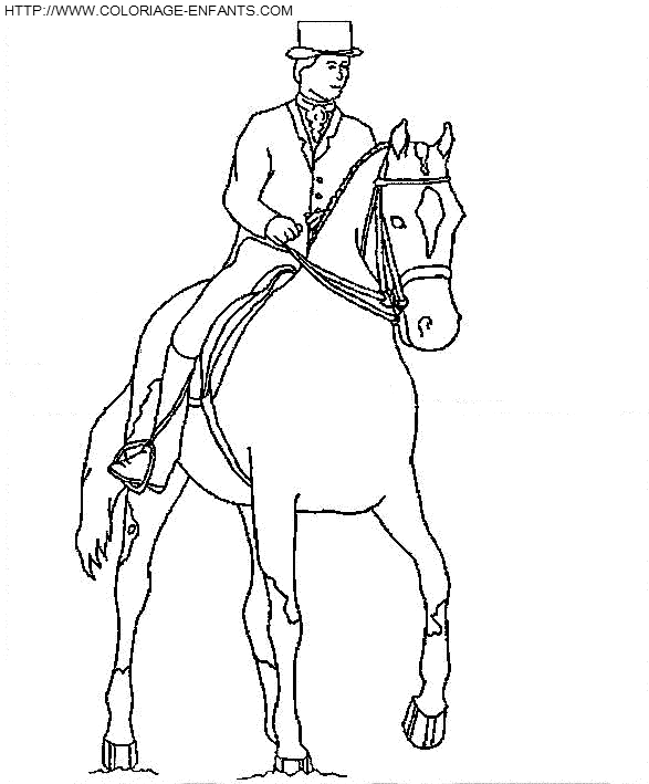 Horse coloring