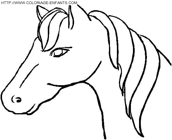 Horse coloring