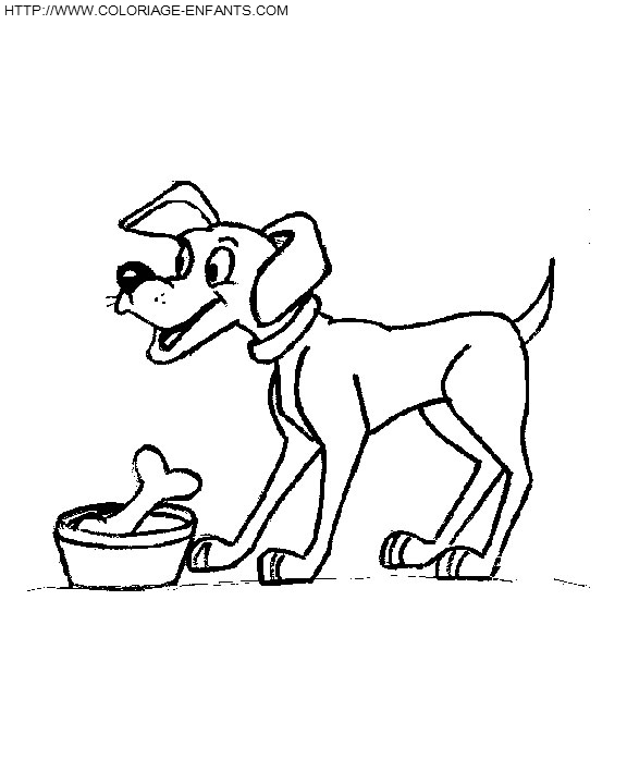 Dogs coloring