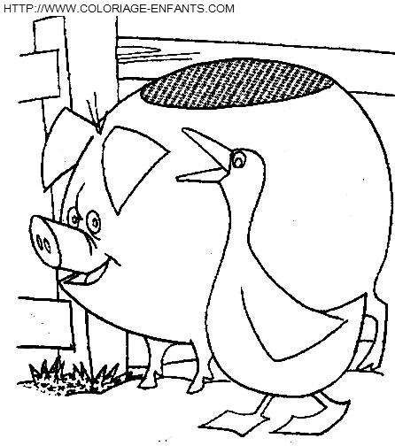 Pigs coloring