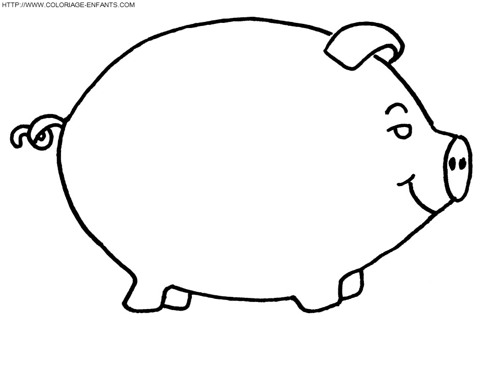 Pigs coloring