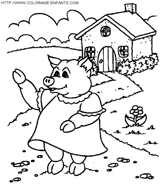 Pigs coloring