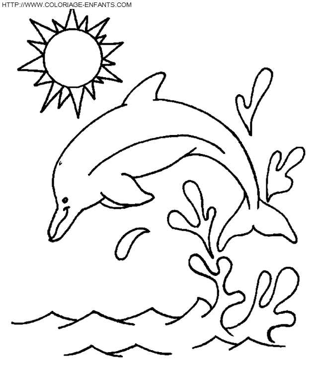 Dolphins coloring