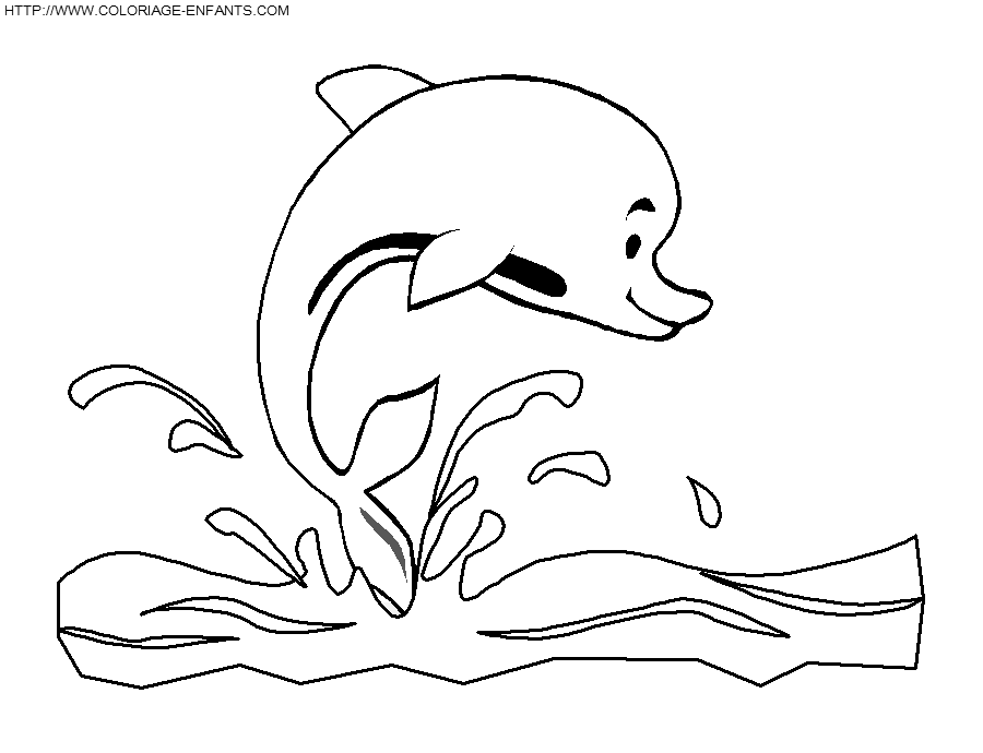 Dolphins coloring