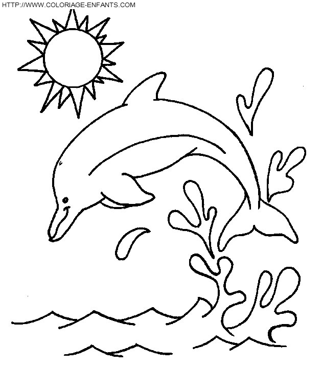 Dolphins coloring