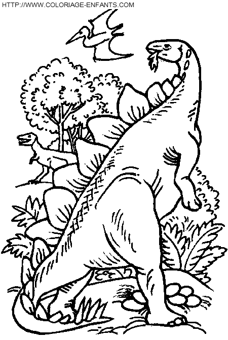 Dinosaur coloring