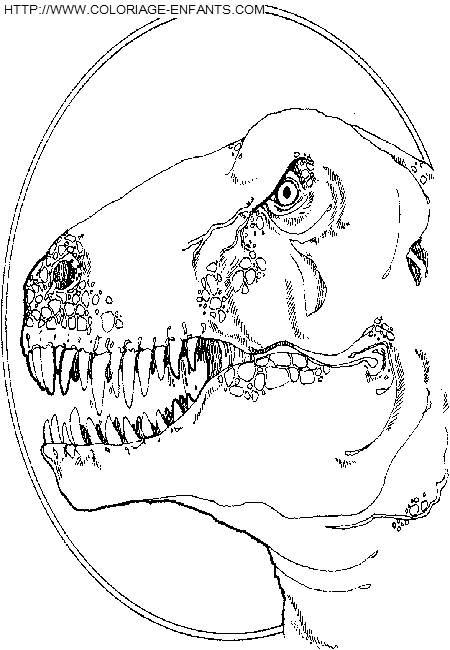 Dinosaur coloring