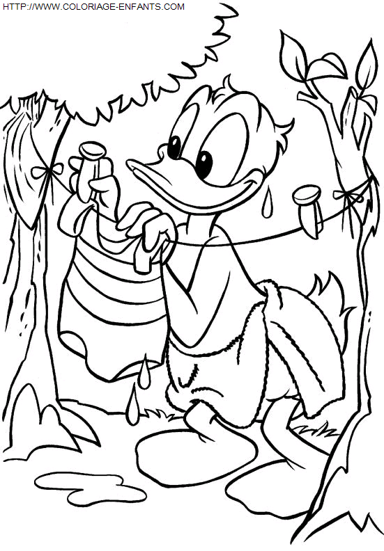 Donald coloring