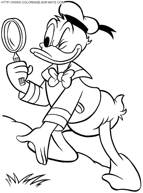 Donald coloring