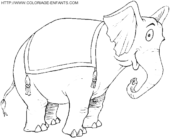 Dumbo coloring