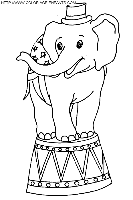 Elephants coloring