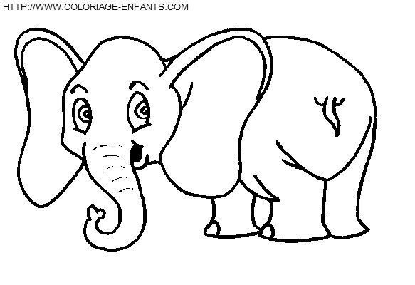 Elephants coloring