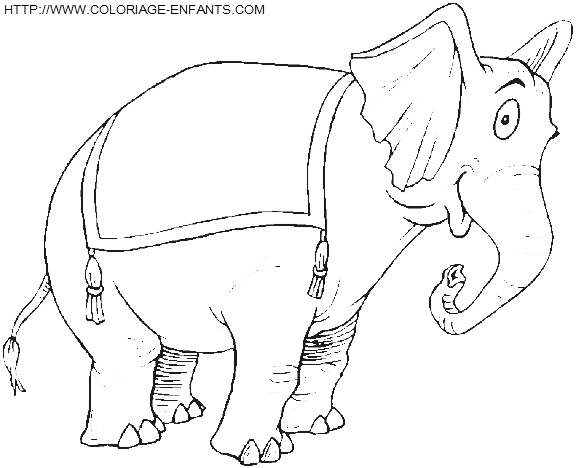 Elephants coloring