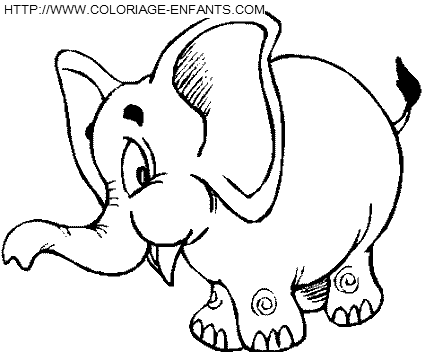 Elephants coloring