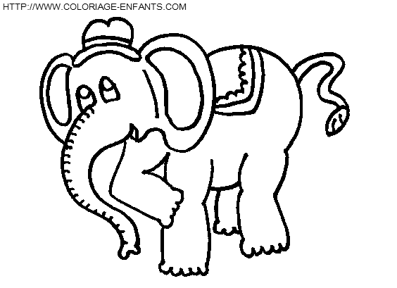 Elephants coloring