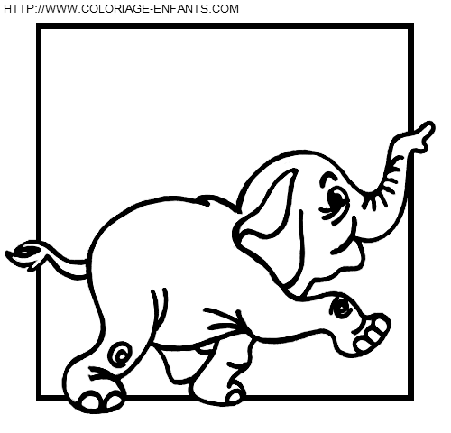 Elephants coloring