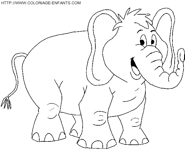 Elephants coloring