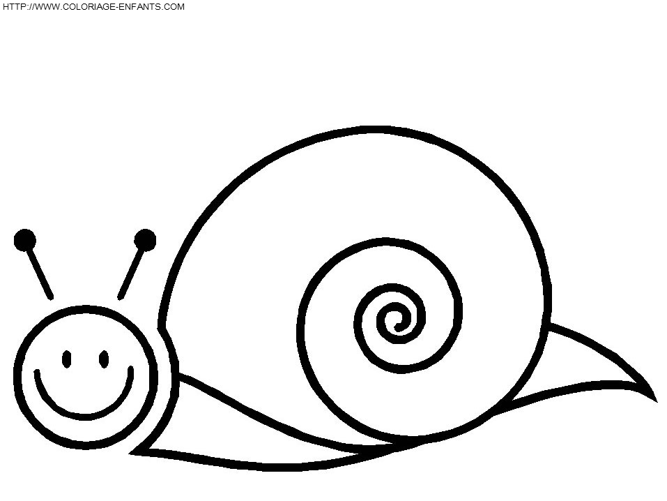 Snails coloring