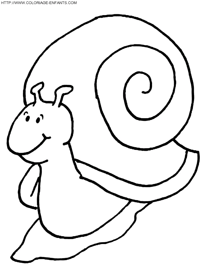 Snails coloring