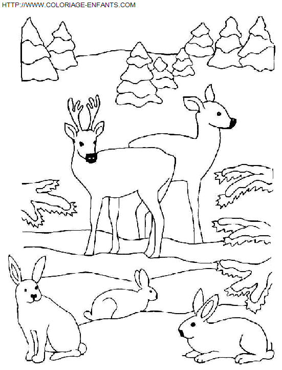 Christmas Animals coloring