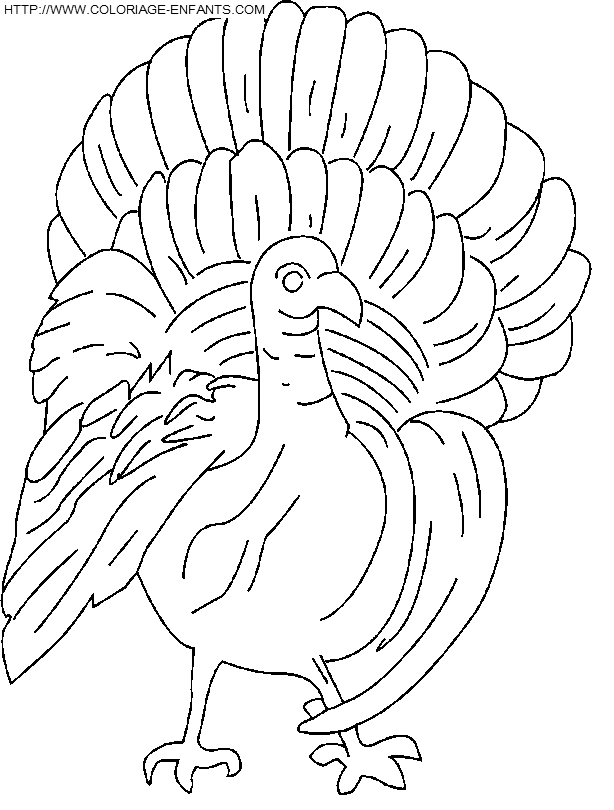 Thanksgiving coloring