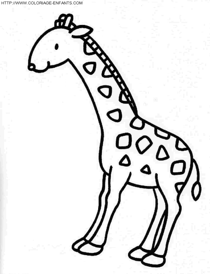 Giraffes coloring