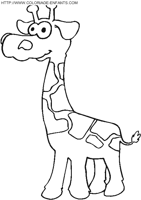 Giraffes coloring