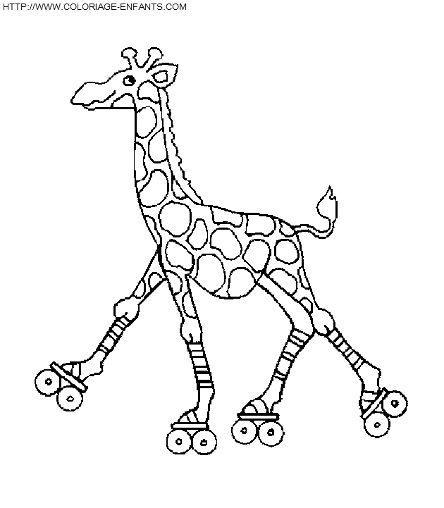 Giraffes coloring