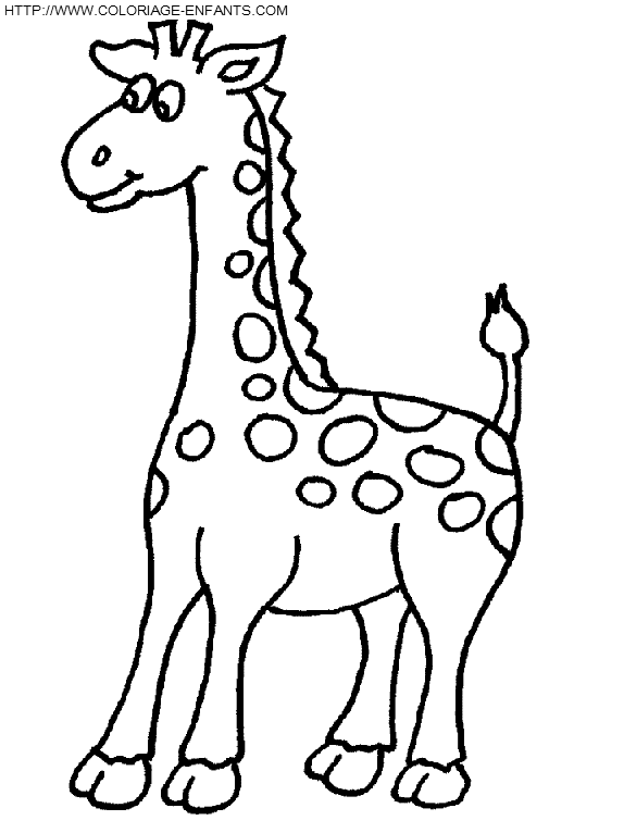 Giraffes coloring