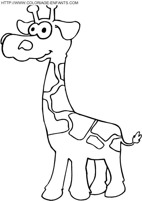 Giraffes coloring