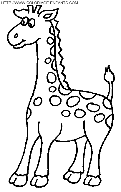 Giraffes coloring