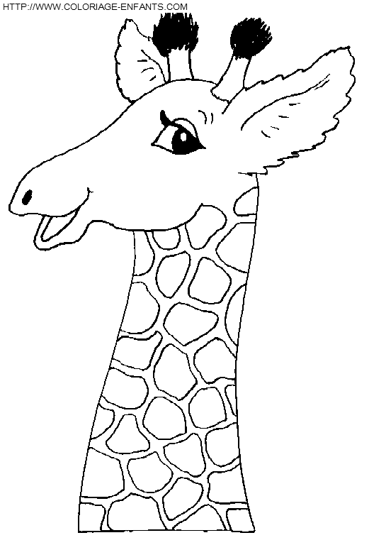 Giraffes coloring