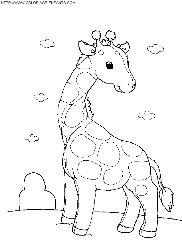 Giraffes coloring