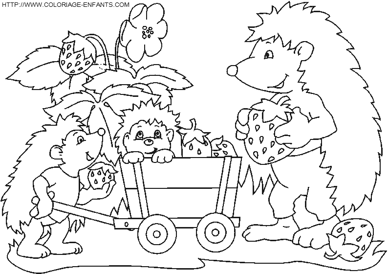 Porcupines coloring