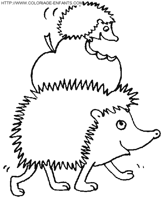 Porcupines coloring