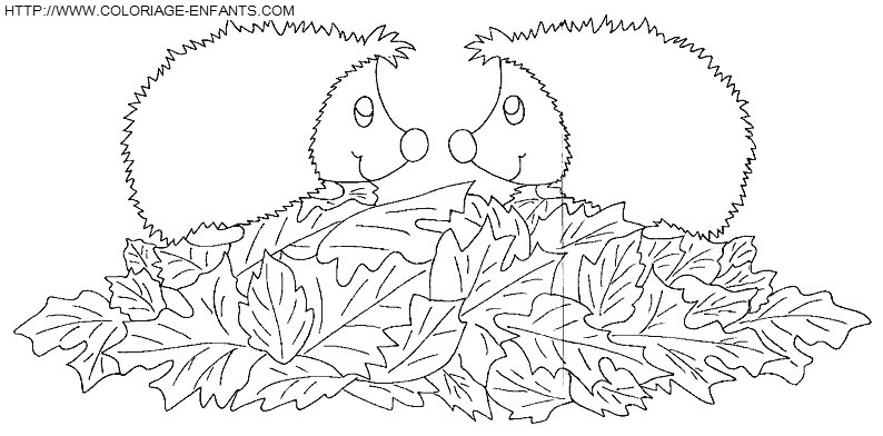 Porcupines coloring