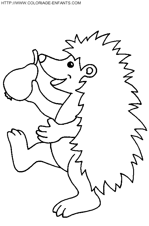 Porcupines coloring