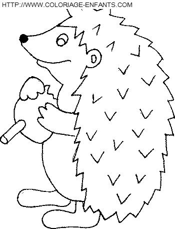 Porcupines coloring