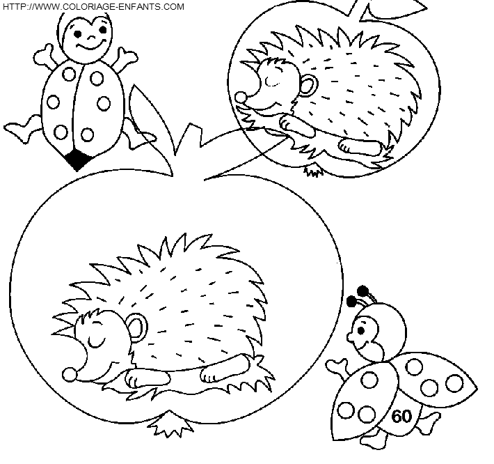 Porcupines coloring