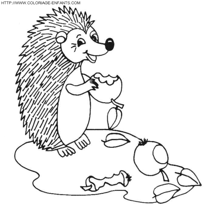 Porcupines coloring