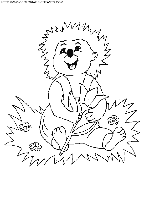 Porcupines coloring